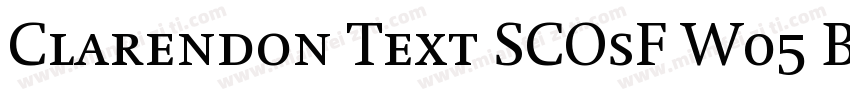 Clarendon Text SCOsF W05 Bold字体转换